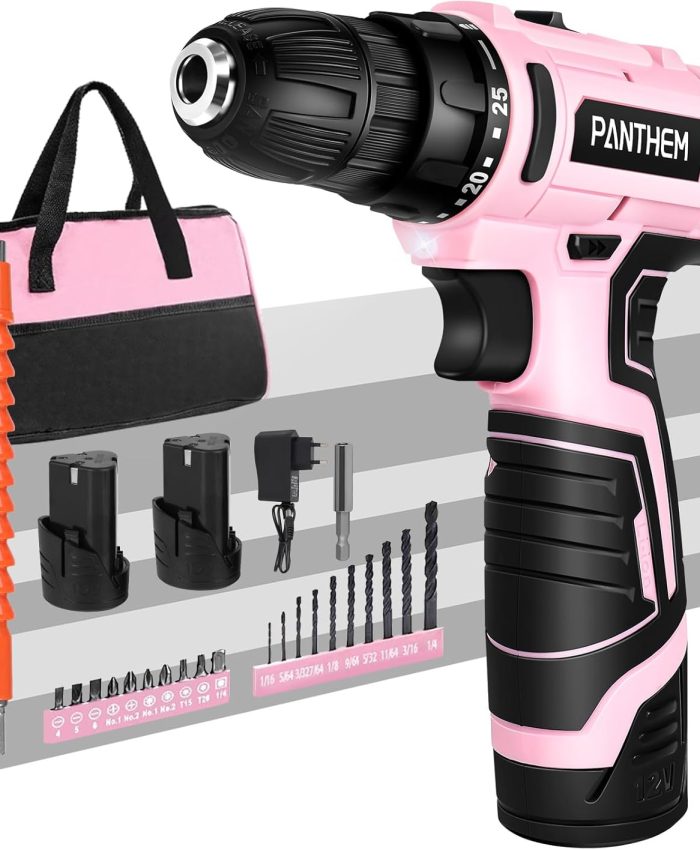 panthem Perceuse Visseuse Sans Fil 12V, Visseuse Devisseuse Sans Fil avec 12V 2 Batteries, Perceuse Electrique 25Nm Max, 25+1 Réglages de Couple, 2 Vitesses, Auto-serrant 10mm, 3/8 Mandrin sans clé
